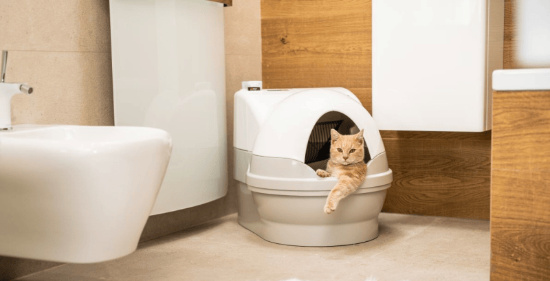 CatGenie 120+ GenieDome-mal